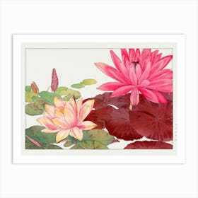 Lotus Flower Art Print