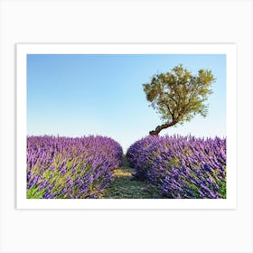 Provence Landscape Art Print