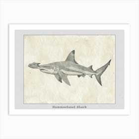 Hammerhead Shark Grey Silhouette 11 Poster Art Print