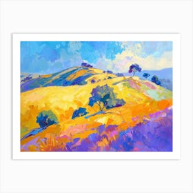 California Landscape 9 Art Print