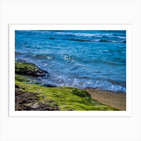 Green Algae On A Rock On Coastline Of The Blue Sea Art Print