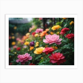 Colorful Roses In The Rain Art Print