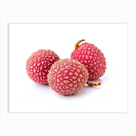 Lychee Fruit 2 Art Print