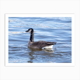 Goose Covered In Ice Art Print