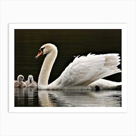 Swan With A Distinctive Beak Nested Beside A Serene Mirror Like Lake Bewitching Eyelashes Adornin Art Print