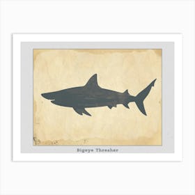 Bigeye Thresher Shark Grey Silhouette 6 Poster Art Print