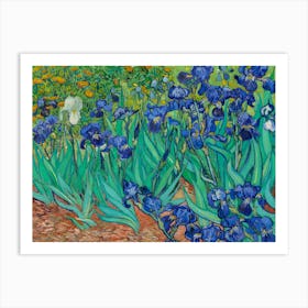 Vincent Van Gogh's Irises Art Print