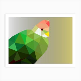 Red Crested Turaco Art Art Print