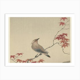 Bird On A Branch 5 Art Print