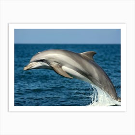 Dolphin Leaping 1 Art Print