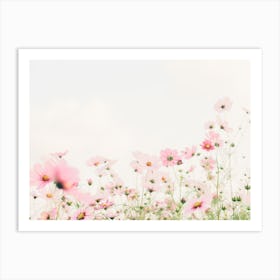 Blooming Flower Field Art Print