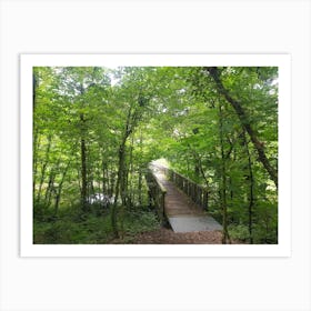 Bridge In The Woods Art Print