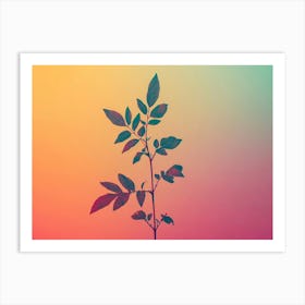 Abstract Rainbow on Wall with Plants in Foreground Art Print