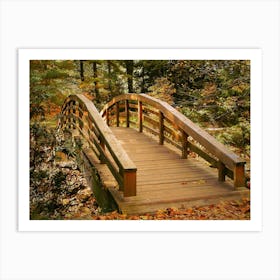 Bridge In the Woods 1 Art Print