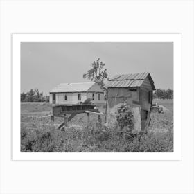 Privy And Primitive Henhouse With New House In The Rear, Southeast Missouri Farms By Russell Lee Art Print