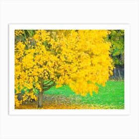 Autumn Tree Of Gold Art Print