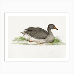 Duck, Jean Bernard Art Print
