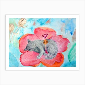 Cats Have Fun Sleeping Spotted Gray Cat In A Hibiscus Flower Art Print