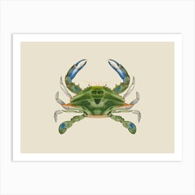 Atlantic Ocean Blue Crab By James Ellsworth De Kay On Cream Art Print