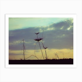 Silhouette Of Vegetation At Sunset Art Print