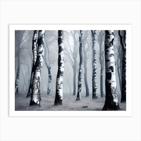 Birch Forest 102 Art Print
