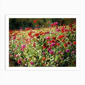 Poppies Art Print