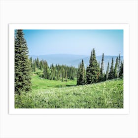 Green Meadow Art Print