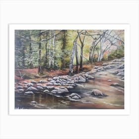 Forest stream 1 Art Print