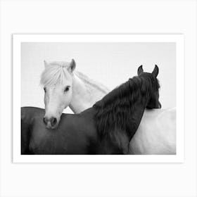 Yin And Yang Horses Art Print