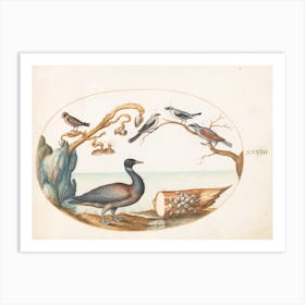 Animalia Volatilia et Amphibia (c. 1575-1580), Joris Hoefnagel 3 Art Print