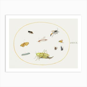 A Grasshopper, A Caterpillar, A Butterfly, A Moth, And Other Insects, (1575–1580), Joris Hoefnagel Art Print