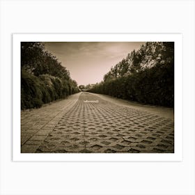 Paved Road Sepia Colored Walkway In The Park Art Print