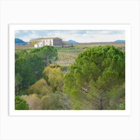 Vineyards And Trees 20211128 181ppub Art Print