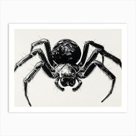 Black Widow Spider Art Print