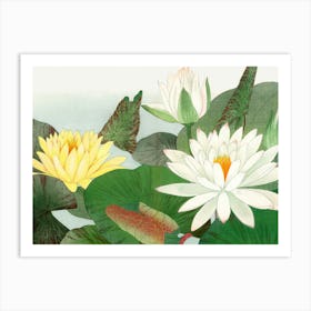 Water Lilies 1 Art Print