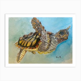 Sea Turtle Art Print