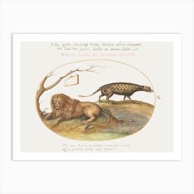 A Lion And A Civet Cat (1575–1580), Joris Hoefnagel Art Print