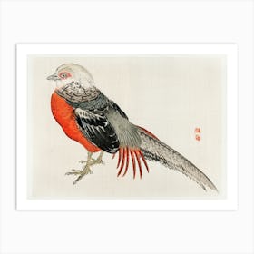 Japanese Pheasant, Kōno Bairei Art Print