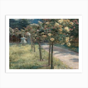 Roses In The Garden 4 Art Print