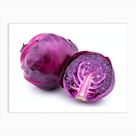 Red Cabbage (10) Art Print