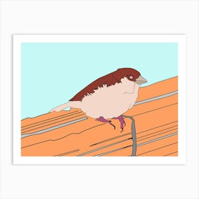 Bird Sparrow Nature Art Print