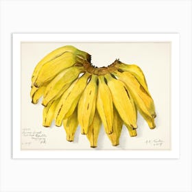 Bananas 3 Art Print