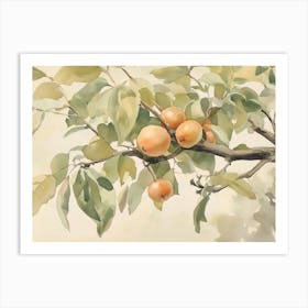 Pear Tree Art Print