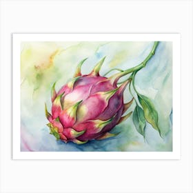 5 Exotic Dragon Fruit On A Vine Art Print