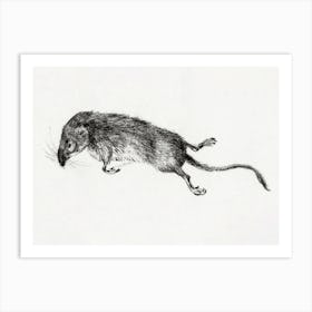 Death Mouse, Jean Bernard Art Print