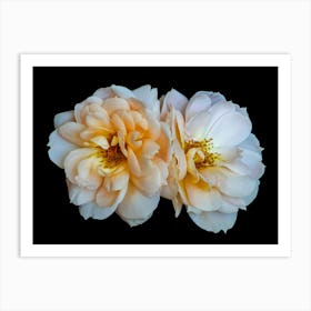 Two Roses Art Print