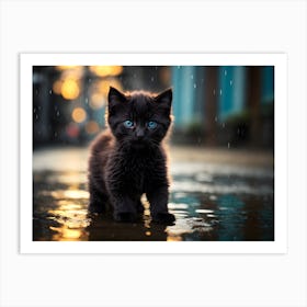 Black Kitten with blue eyes In The Rain Art Print