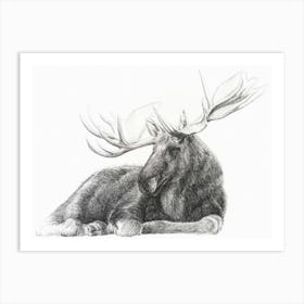 Moose Drawing Art Print