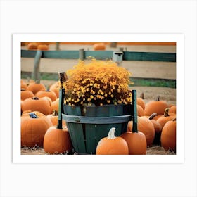 Fall Pumpkins Art Print