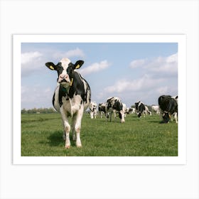 The cow says moo | The Netherlands  Art Print